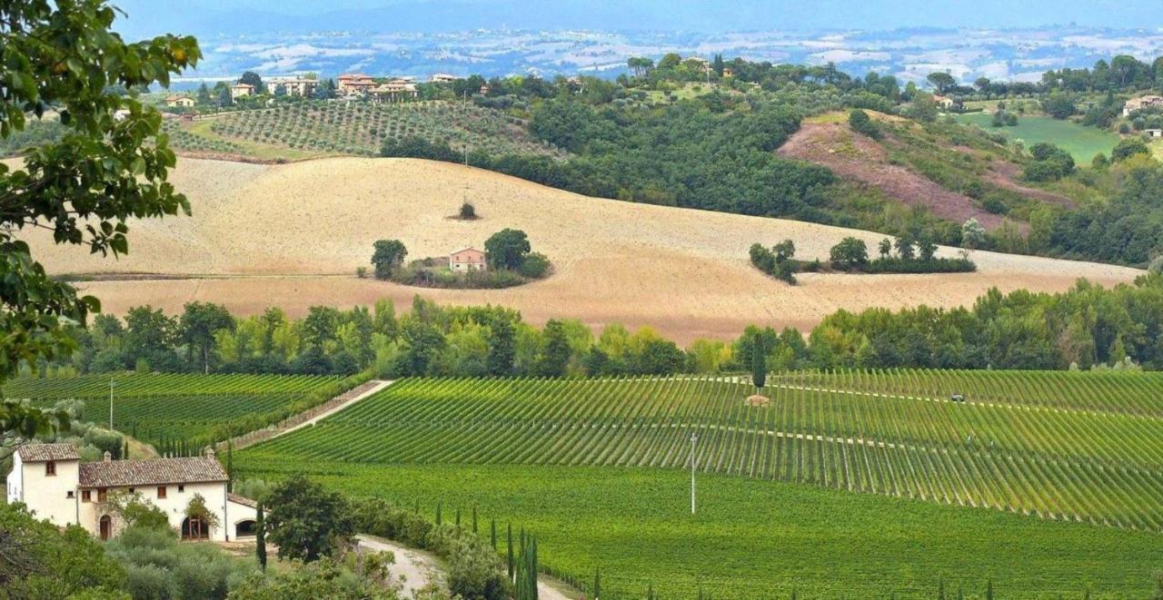 Villa Le Buche سارتيانو المظهر الخارجي الصورة